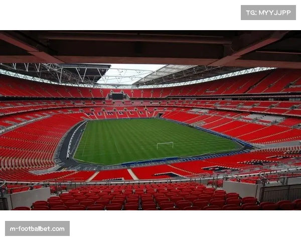 欧冠淘汰赛阶段门票开售 球迷热情高涨一票难求